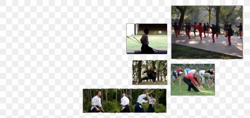 Advertising Tai Chi Collage Brand Qi, PNG, 869x412px, Advertising, Brand, Collage, Grass, Leisure Download Free