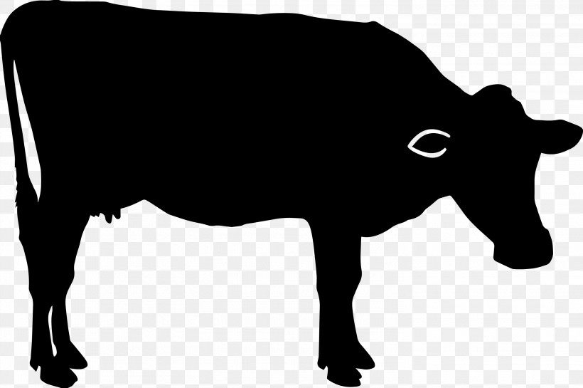 Bovine Snout Livestock Silhouette Dairy Cow, PNG, 2943x1958px, Bovine, Cowgoat Family, Dairy Cow, Livestock, Silhouette Download Free
