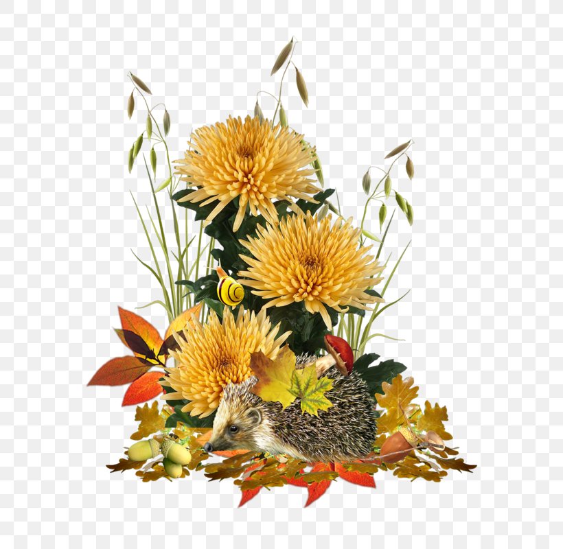 Floral Design Flower Bouquet Image, PNG, 800x800px, Floral Design, Autumn, Chrysanths, Creativity, Cut Flowers Download Free