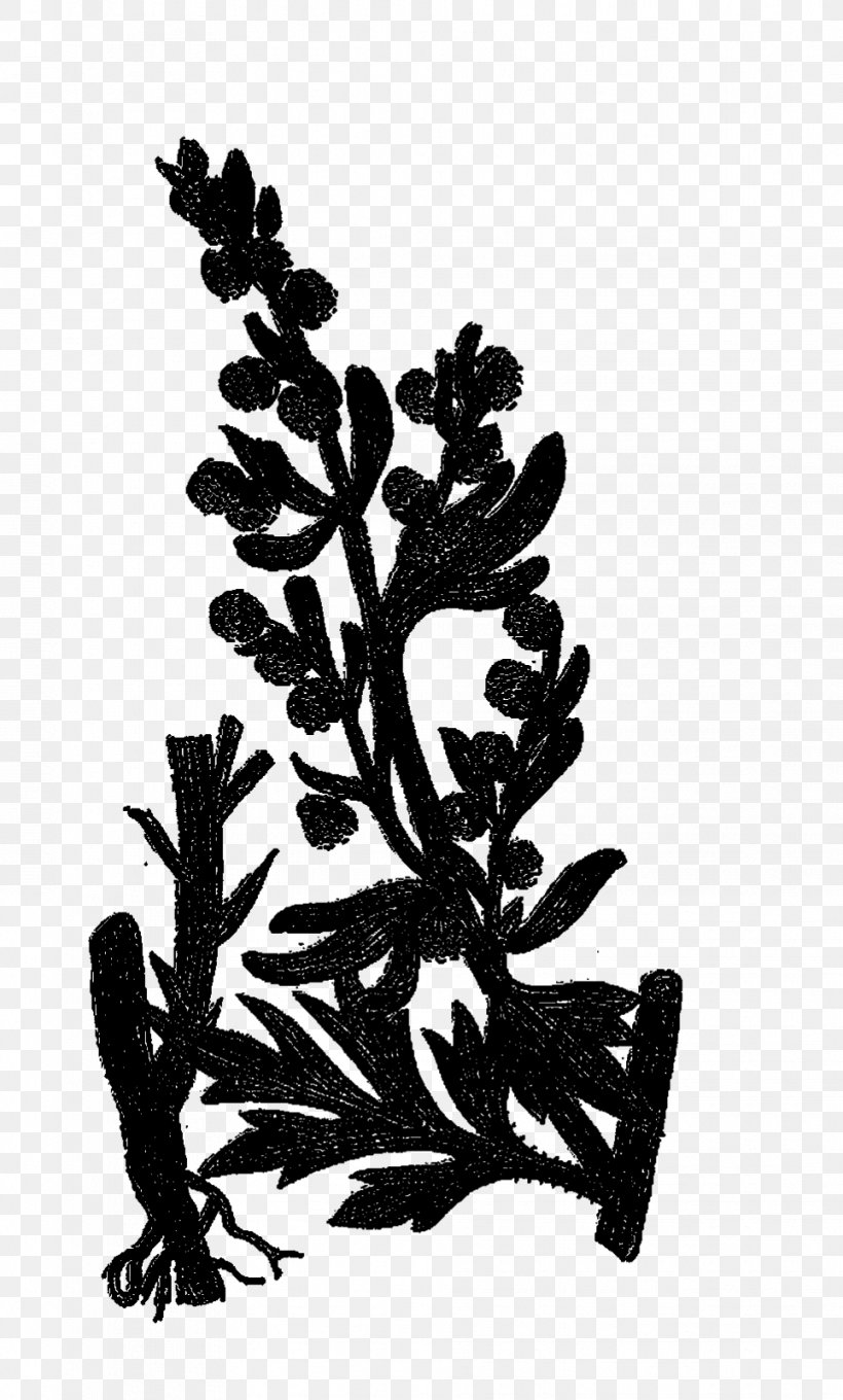 Font Silhouette Flower Leaf Branching, PNG, 964x1600px, Silhouette, Botany, Branch, Branching, Fern Download Free