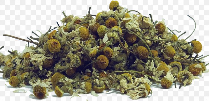 Green Tea Sencha Chamomile Earl Grey Tea, PNG, 1235x600px, Tea, Antioxidant, Black Tea, Chamomile, Commodity Download Free