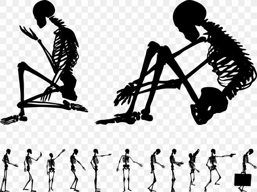 Human Skeleton Bone Euclidean Vector, PNG, 2434x1819px, Skeleton, Anatomy, Black And White, Bone, Foot Download Free