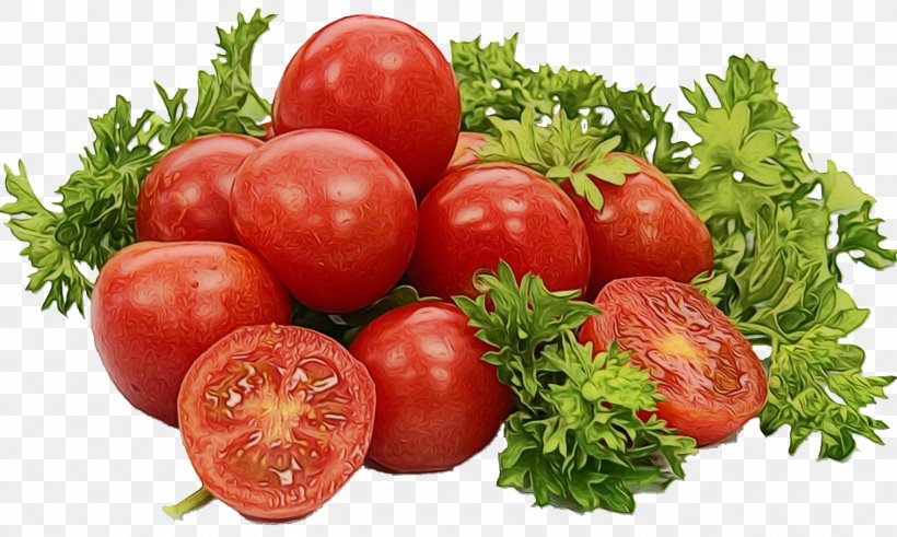 Tomato, PNG, 1800x1079px, Watercolor, Bush Tomato, Cherry Tomatoes, Food, Fruit Download Free