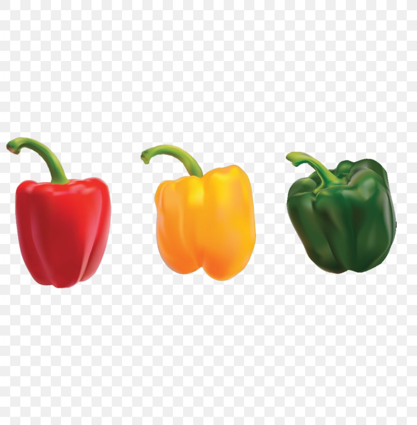 Bell Pepper Nigerian Cuisine Omelette Eating Chili Pepper, PNG, 1024x1045px, Bell Pepper, Bell Peppers And Chili Peppers, Black Pepper, Calorie, Capsaicin Download Free