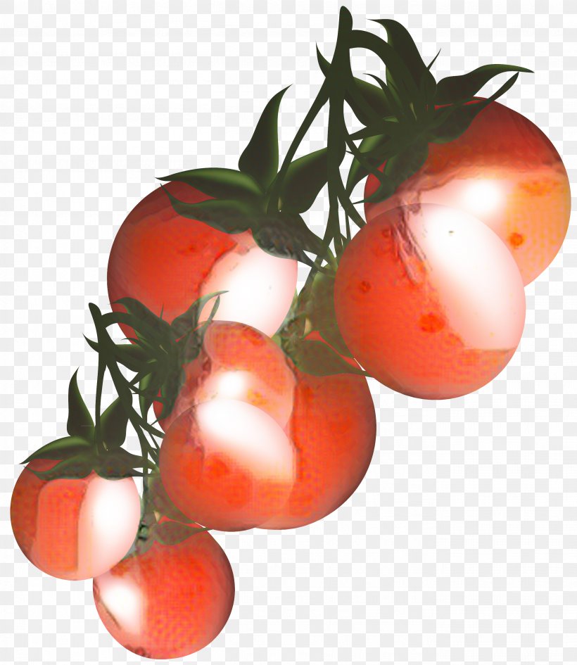 Clip Art Cherry Tomato Vegetable Tomato Sauce, PNG, 2721x3137px, Cherry Tomato, Beefsteak Tomato, Bush Tomato, Cherry Tomatoes, Flower Download Free