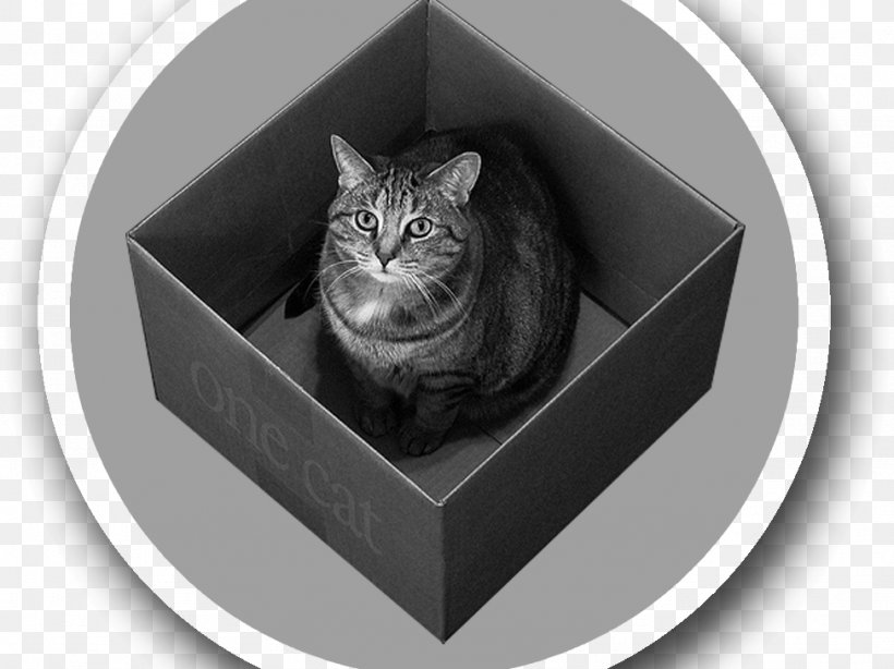 Quantum Mechanics Schrödinger's Cat Physics Particle In A Box, PNG, 974x730px, Quantum Mechanics, Black And White, Box, Carnivoran, Cat Download Free