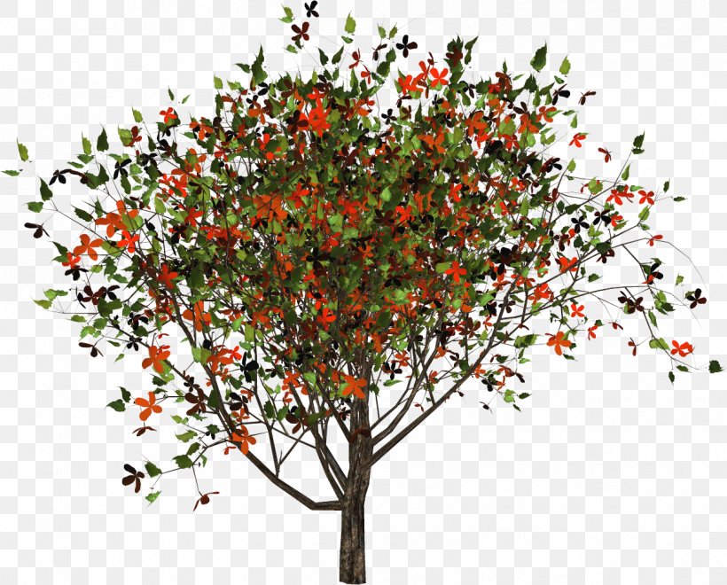 Tree Shrub Plant Branching, PNG, 1219x982px, Tree, Branch, Branching, Flora, Plant Download Free