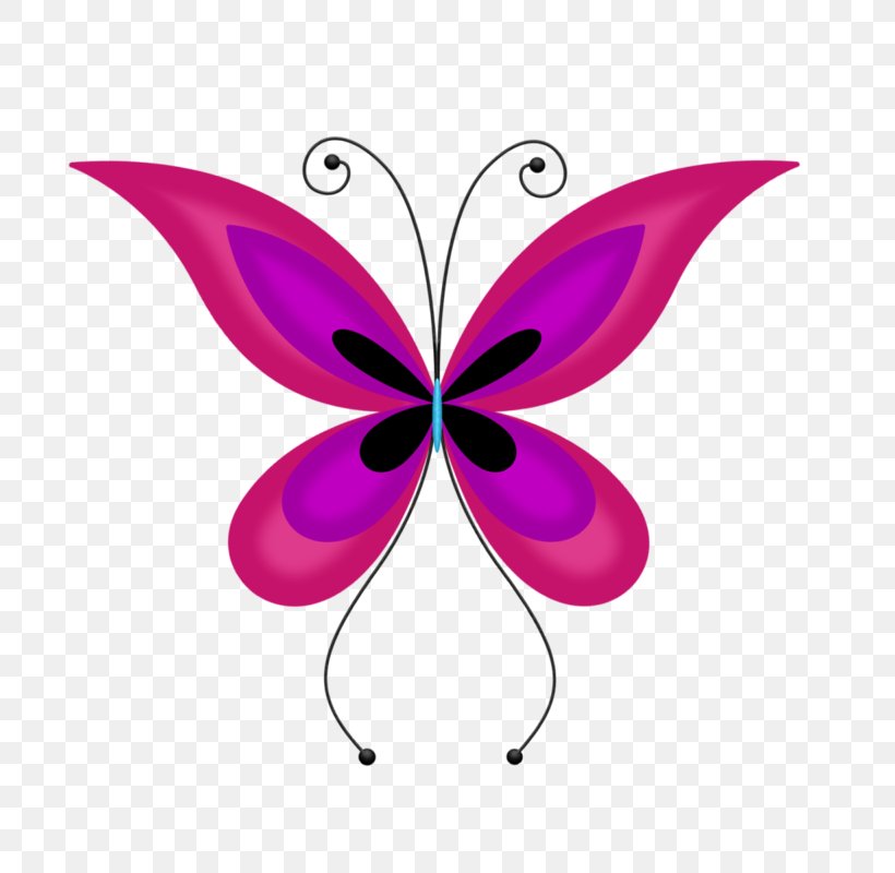 Butterfly Nymphalidae Insect Clip Art, PNG, 800x800px, Butterfly, Arthropod, Brush Footed Butterfly, Butterflies And Moths, Cartoon Download Free