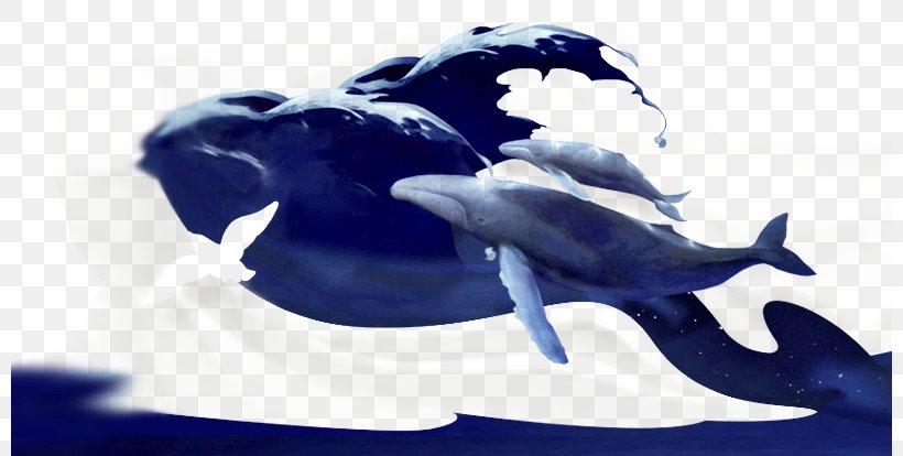 Download, PNG, 800x414px, Poster, Banner, Blue, Dolphin, Gratis Download Free
