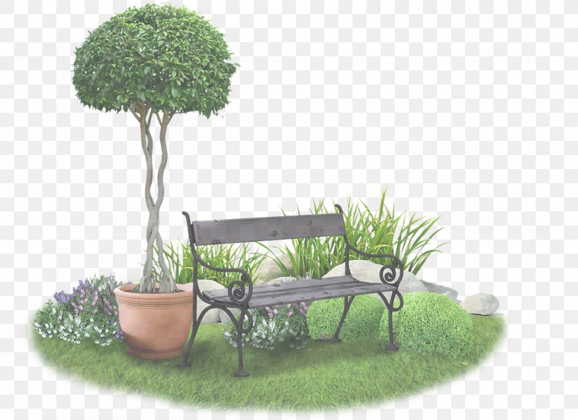 Flowerpot Tree Grass Houseplant Plant, PNG, 1000x728px, Flowerpot, Furniture, Grass, Grass Family, Houseplant Download Free