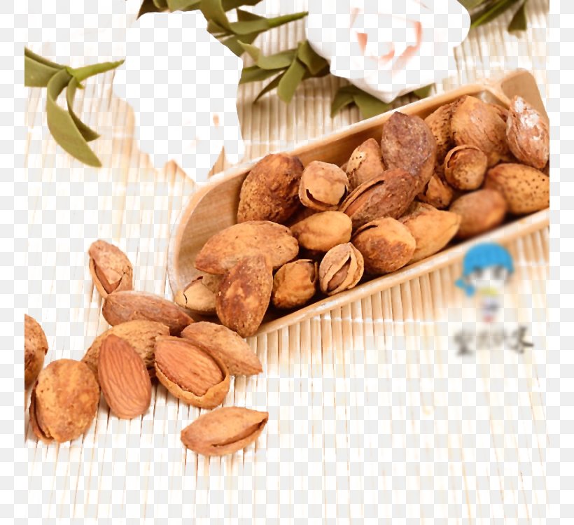 Nut Food Icon, PNG, 750x750px, Nut, Apricot, Apricot Kernel, Chinese Herbology, Flavor Download Free