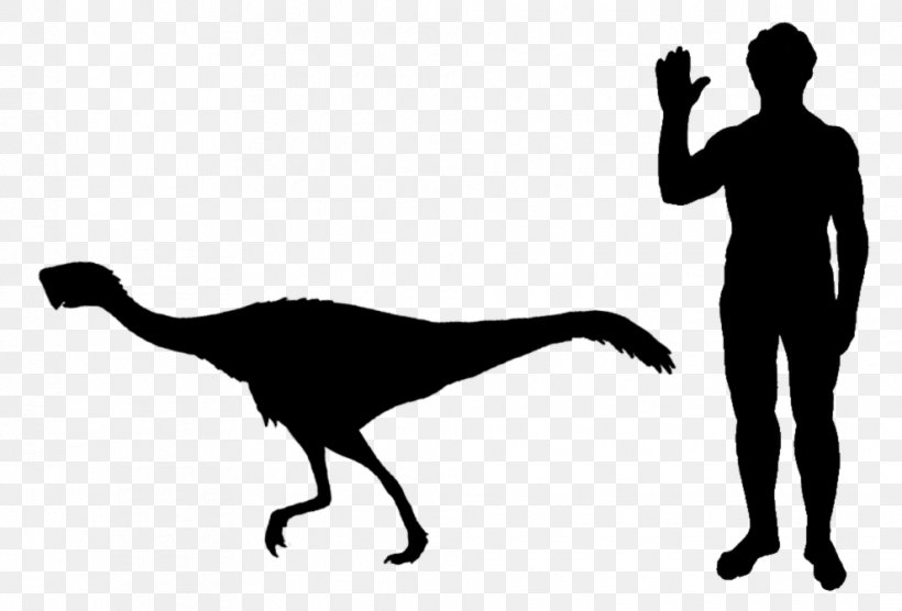 Staurikosaurus Thescelosaurus Velociraptor Microraptor Scansoriopteryx, PNG, 990x672px, Staurikosaurus, Beak, Beringian Wolf, Black And White, Deinonychus Download Free