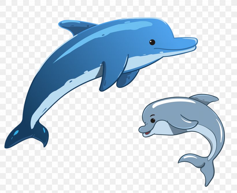 Vector Graphics Dolphin Stock Photography Image Illustration, PNG, 3000x2448px, Dolphin, Animal Figure, Cartoon, Common Bottlenose Dolphin, Drawing Download Free