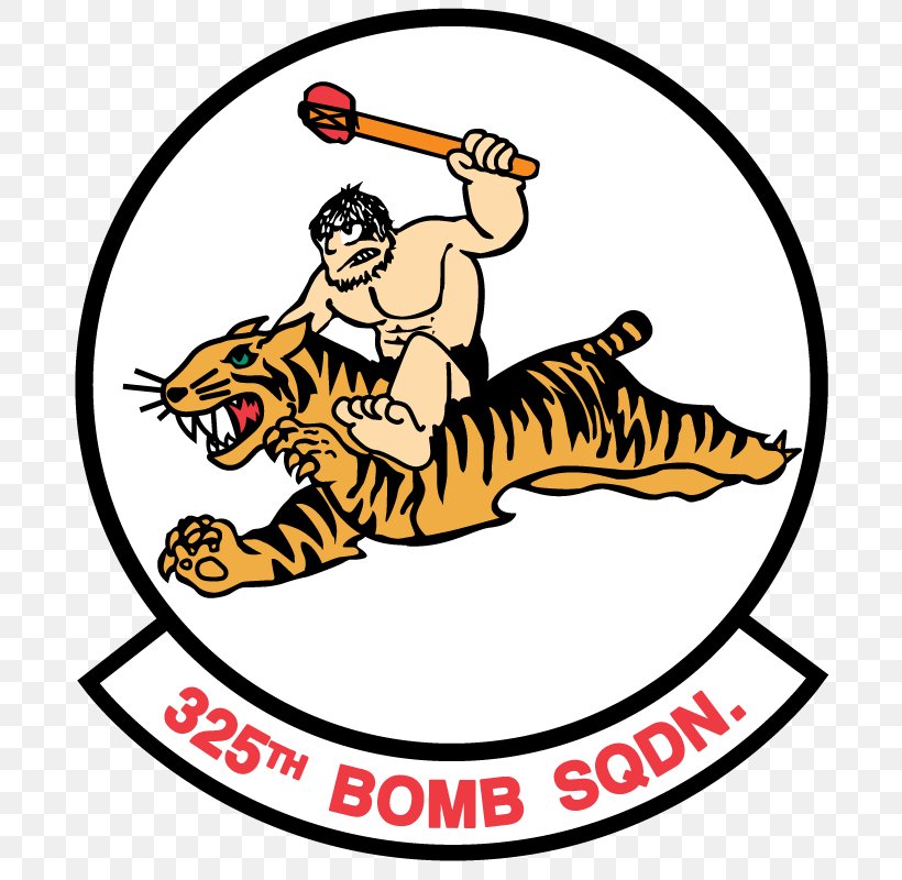 355th Fighter Wing United States Air Force Bomb Squadron, PNG, 800x800px, 355th Fighter Wing, 509th Bomb Wing, Air Force, Area, Artwork Download Free