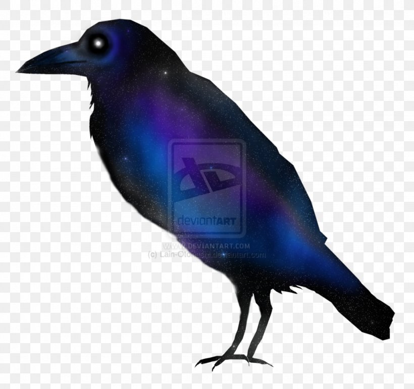 American Crow New Caledonian Crow Cobalt Blue, PNG, 1024x963px, American Crow, Beak, Bird, Blue, Cobalt Download Free