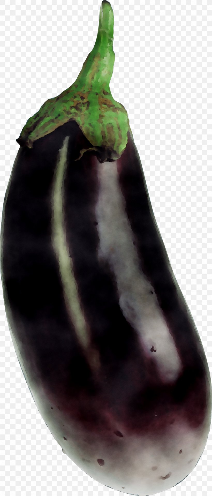 Aubergines Fruit Purple, PNG, 1487x3479px, Aubergines, Eggplant, Food, Fruit, Plant Download Free