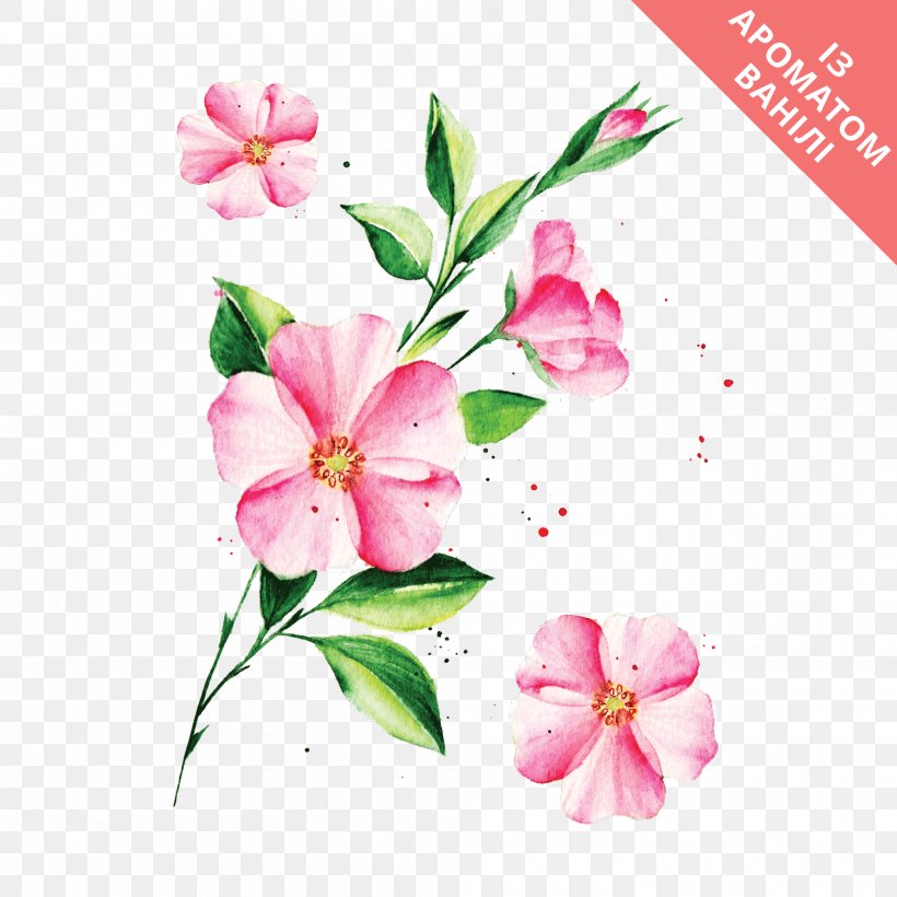Flower Abziehtattoo Floral Design Plants, PNG, 2000x2000px, Flower, Abziehtattoo, Alstroemeriaceae, Auglis, Azalea Download Free