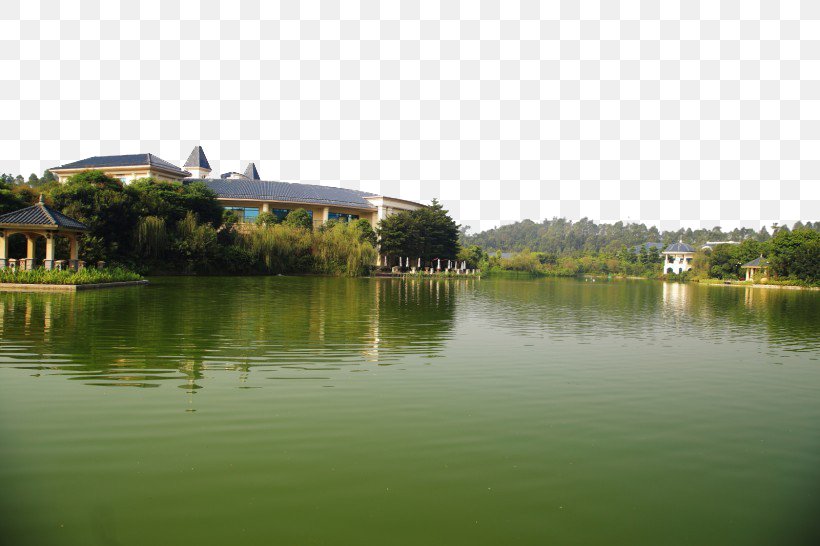 Hengda Hotel Fukei Photography, PNG, 820x546px, Hengda Hotel, Bayou, Fukei, Grass, Gratis Download Free