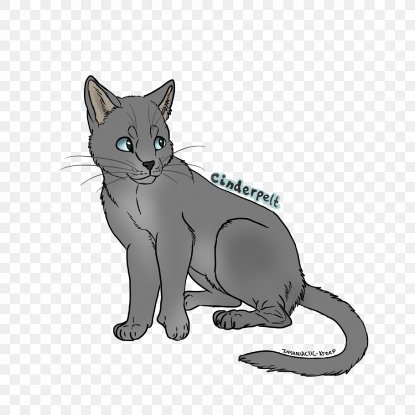 Korat Whiskers Kitten Wildcat Domestic Short-haired Cat, PNG, 900x900px, Korat, Canidae, Carnivoran, Cat, Cat Like Mammal Download Free