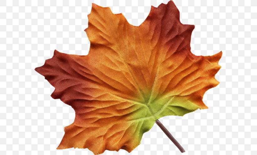 Maple Leaf Painting Autumn Leaf Color, PNG, 600x494px, Leaf, Art, Autumn, Autumn Leaf Color, Flower Download Free