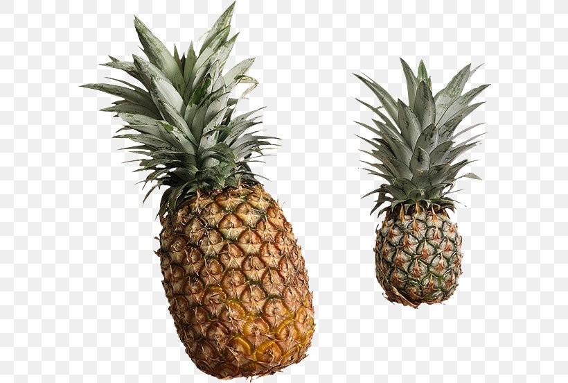 Pineapple, PNG, 600x552px, Pineapple, Ananas, Food, Fruit, Natural Foods Download Free