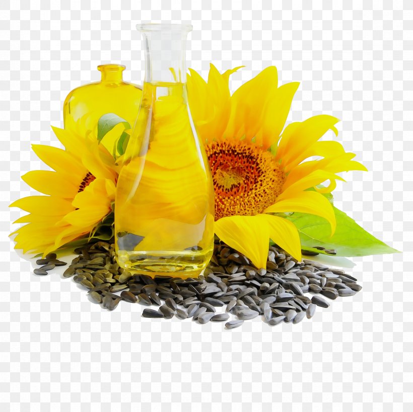 Sunflower, PNG, 2362x2362px, Watercolor, Cut Flowers, Flower, Flowering Plant, Gerbera Download Free