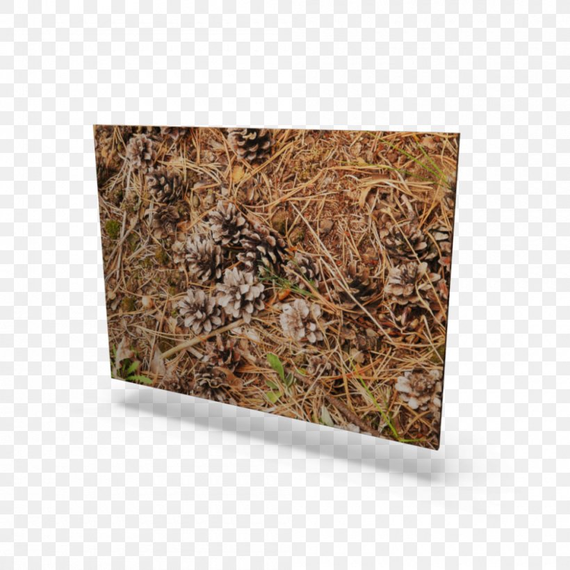Wood /m/083vt Camouflage Brown Rectangle, PNG, 1000x1000px, Wood, Brown, Camouflage, Grass, Rectangle Download Free
