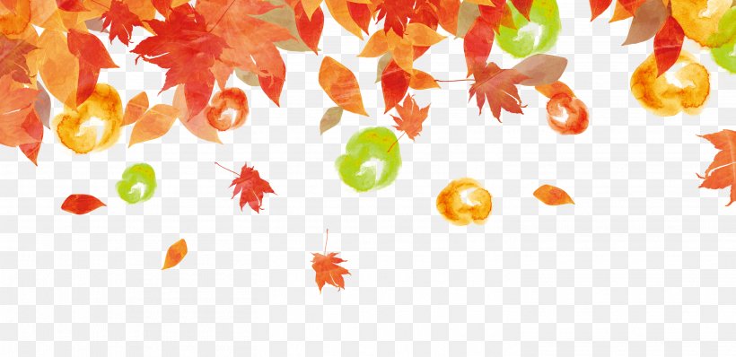 Autumn Leaf Color Autumn Leaf Color Illustration, PNG, 2925x1420px, Leaf, Autumn, Autumn Leaf Color, Deciduous, Maple Download Free