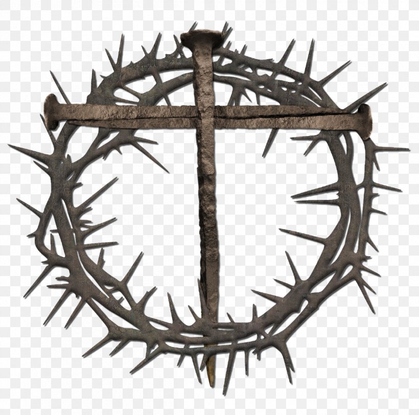 Crown Of Thorns Thorns, Spines, And Prickles Nail Cross Clip Art, PNG, 1207x1196px, Crown Of Thorns, Antler, Branch, Child Jesus, Christian Cross Download Free