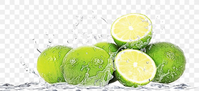 Key Lime Lime Persian Lime Citrus Fruit, PNG, 1529x700px, Watercolor, Citrus, Food, Fruit, Key Lime Download Free
