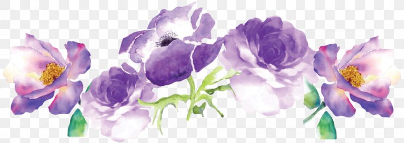 Crocus Cut Flowers Kidney Floral Design, PNG, 876x311px, Crocus, Cut Flowers, Flora, Floral Design, Floristry Download Free