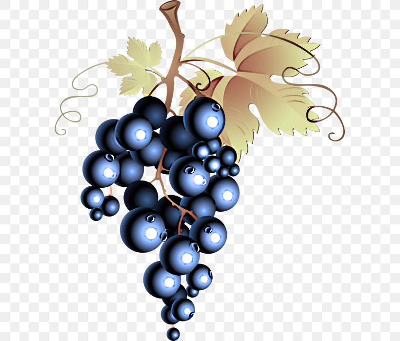 Grape Fruit Grapevine Family Berry Plant, PNG, 595x699px, Grape, Berry, Fruit, Grape Leaves, Grapevine Family Download Free