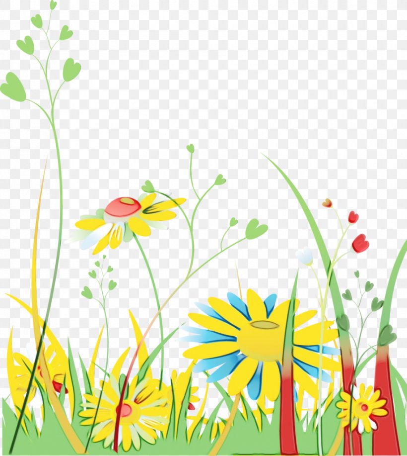 Watercolor Floral Background, PNG, 915x1024px, Watercolor, Camomile, Chamomile, Computer, Computer Monitors Download Free