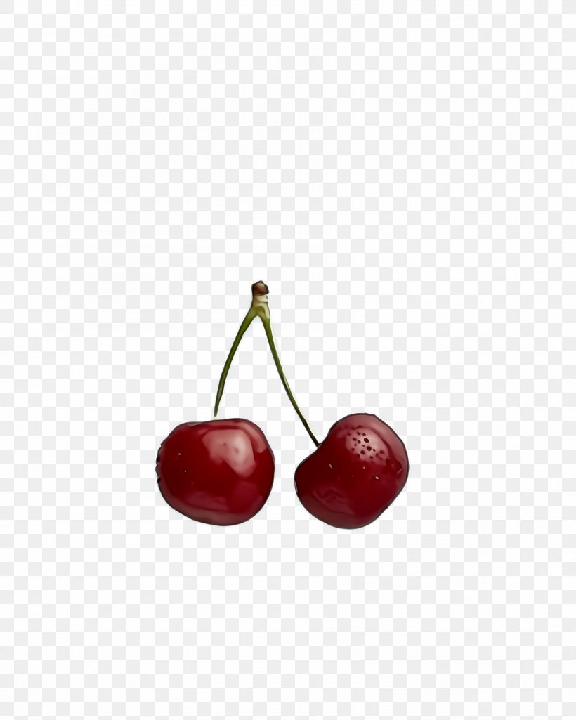 Cherry Fruit Red Plant Food, PNG, 1788x2236px, Cherry, Acerola Family, Drupe, Flower, Food Download Free
