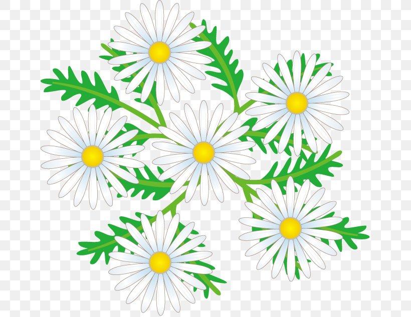 Common Daisy Oxeye Daisy Cut Flowers Floral Design Chrysanthemum, PNG, 658x633px, Common Daisy, Artwork, Aster, Chamaemelum Nobile, Chamomiles Download Free