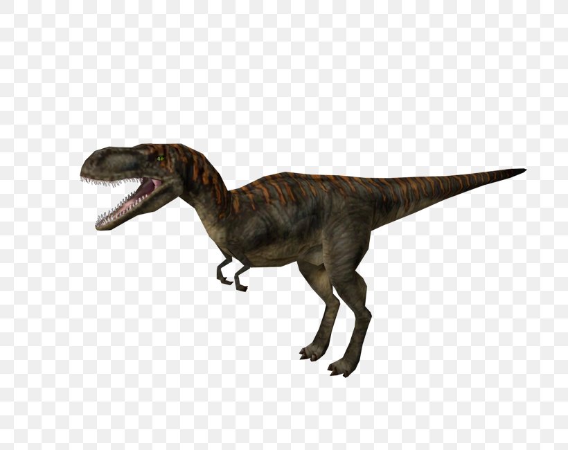Jurassic Park: Operation Genesis Velociraptor Albertosaurus Tyrannosaurus Video Game, PNG, 750x650px, Jurassic Park Operation Genesis, Albertosaurus, Animal Figure, Dinosaur, Fauna Download Free