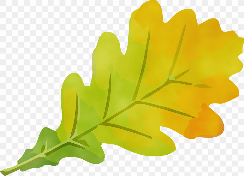 Plane, PNG, 3000x2167px, Autumn Leaf, Flower, Green, Leaf, Paint Download Free