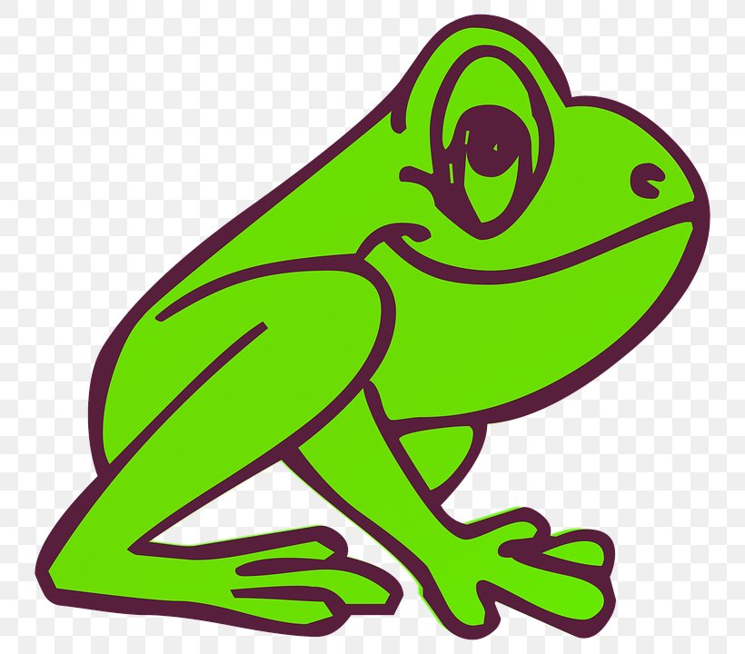 Tree Frog Coloring Book Kermit The Frog Frog And Toad, PNG, 774x720px, Frog, Adult, Amphibian, Animal Figure, Area Download Free