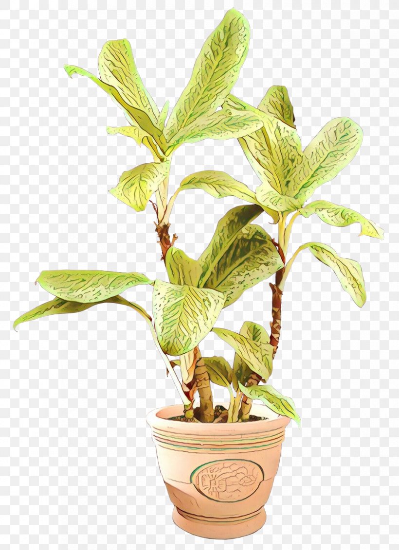 Flowerpot Herb Houseplant Tree, PNG, 840x1160px, Flowerpot, Flower, Flowering Plant, Herb, Houseplant Download Free