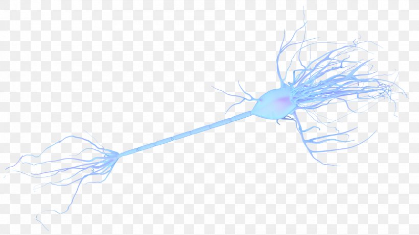 Line Organism, PNG, 1920x1080px, Organism, Blue, Microsoft Azure Download Free