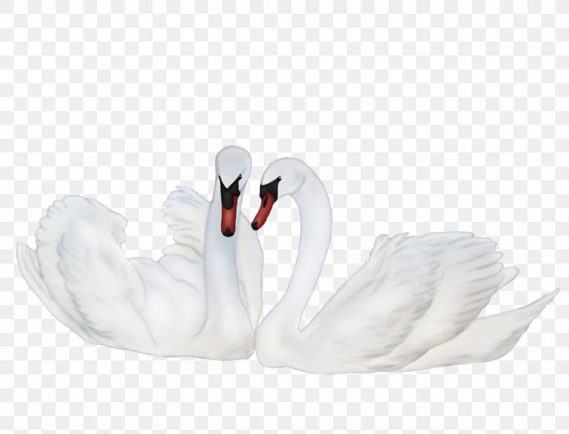 Product Design Beak Feather, PNG, 1280x978px, Beak, Bird, Ducks Geese And Swans, Feather, Hand Download Free