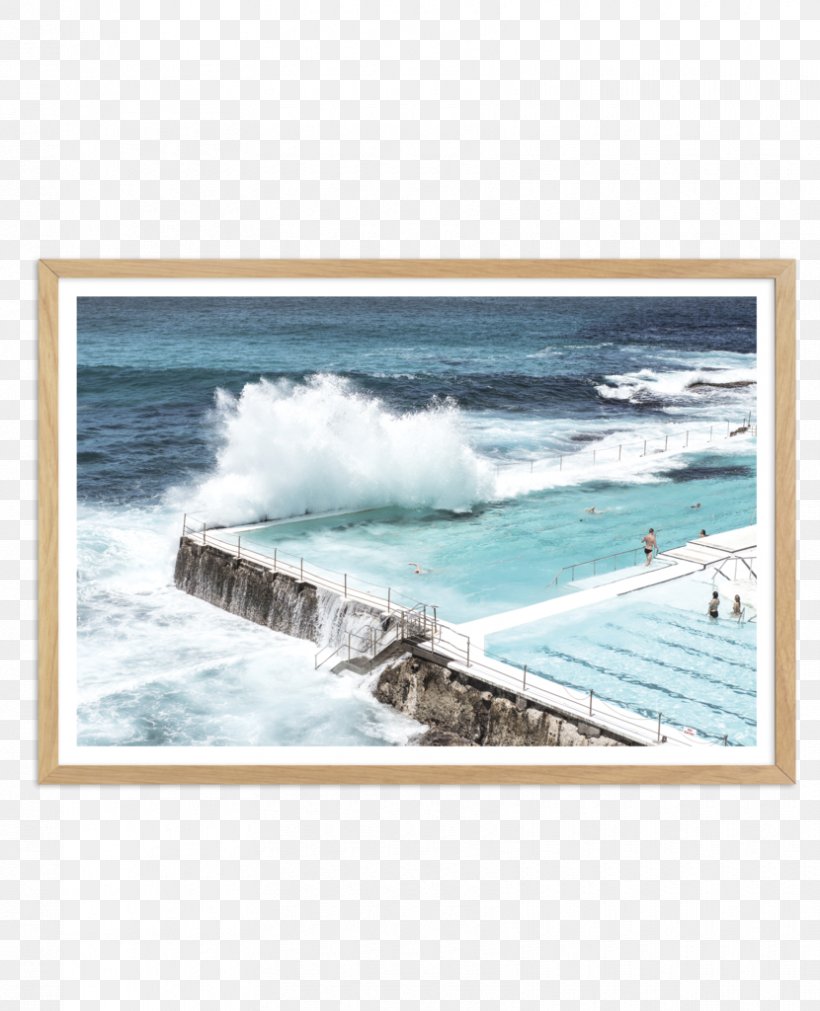 Bondi Beach Bondi Icebergs Club Bondi Icebergs POOL Swimming Pool, PNG, 830x1024px, Bondi Beach, Art, Beach, Bondi Icebergs Club, Coast Download Free