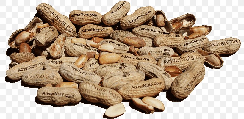 Peanut Vegetarian Cuisine Commodity Vegetarianism, PNG, 800x400px, Nut, Commodity, Food, Ingredient, La Quinta Inns Suites Download Free