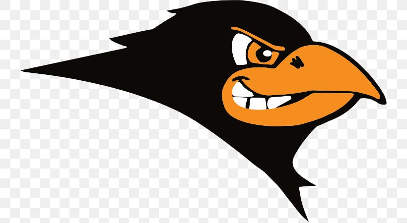 Maryland School For The Deaf Clerc Classic Baltimore Orioles California School For The Deaf, Riverside, PNG, 750x450px, Maryland School For The Deaf, Artwork, Baltimore Orioles, Beak, Bird Download Free