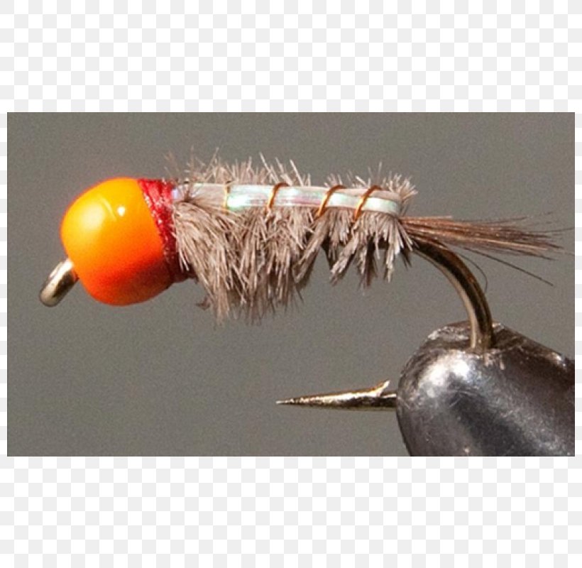 Insect Artificial Fly, PNG, 800x800px, Insect, Artificial Fly, Orange, Pest Download Free