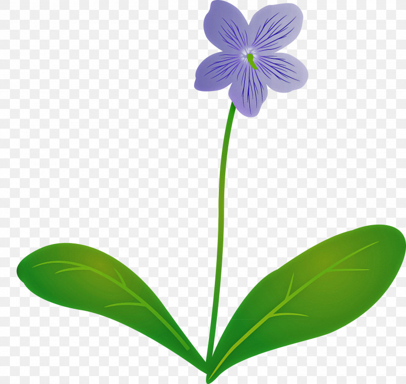 Violet Flower, PNG, 3000x2841px, Violet Flower, Biology, Common Blue Violet, Flora, Flower Download Free