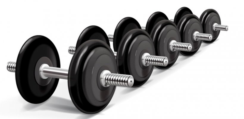 Weight Training Strength Training Physical Exercise Barbell Dumbbell, PNG, 1600x784px, Weight Training, Automotive Tire, Barbell, Dieting, Dumbbell Download Free