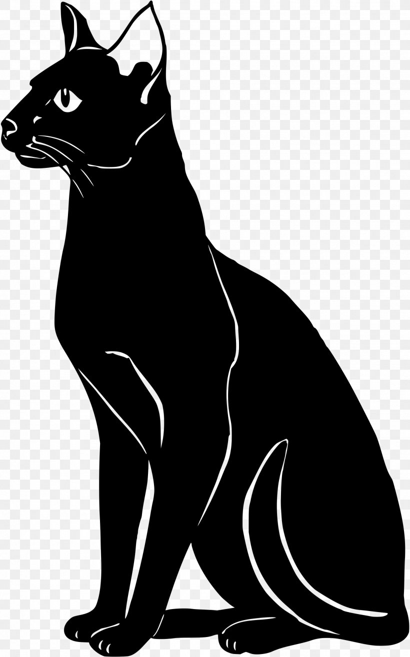 Whiskers Dog Domestic Short-haired Cat Paw, PNG, 1906x3057px, Whiskers, Black, Black And White, Black Cat, Canidae Download Free