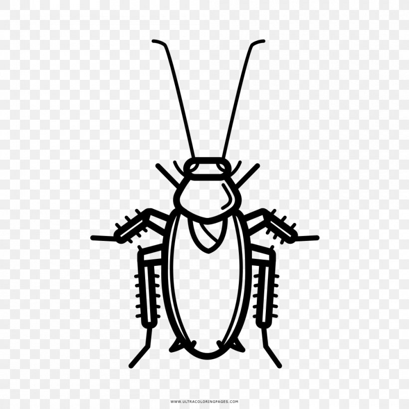 Cockroach Drawing Coloring Book Black And White, PNG, 1000x1000px, Cockroach, Area, Artwork, Ausmalbild, Black And White Download Free
