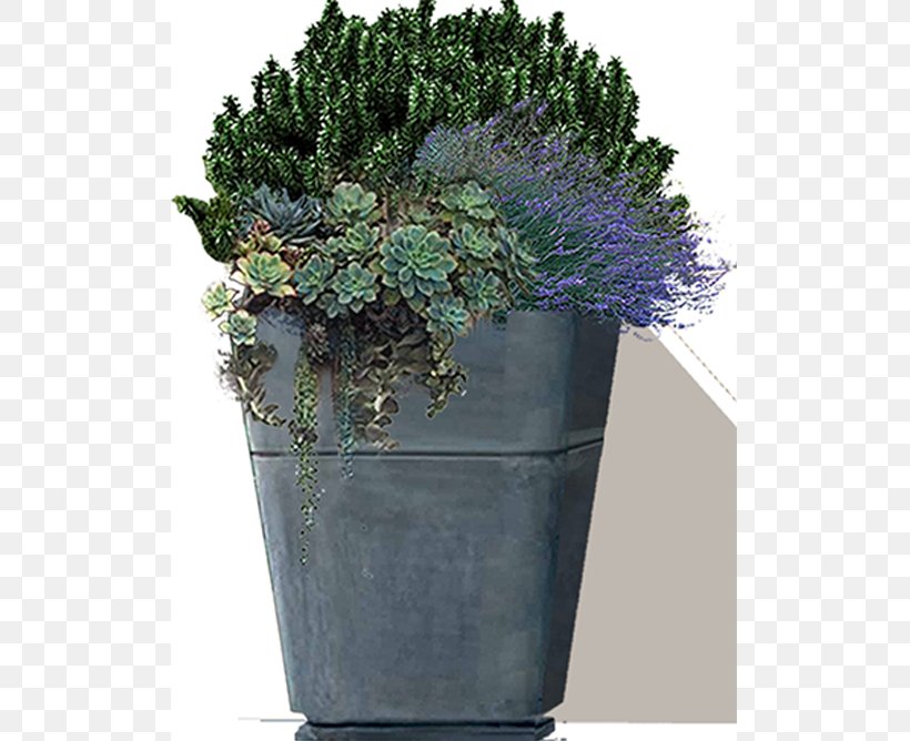 Houseplant Flowerpot Tree Herb Shrub, PNG, 780x668px, Houseplant, Flowerpot, Grass, Herb, Plant Download Free